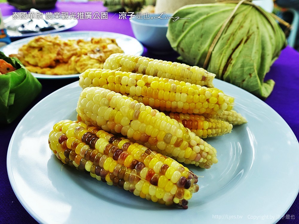 泰國華欣 農業觀光推廣公園