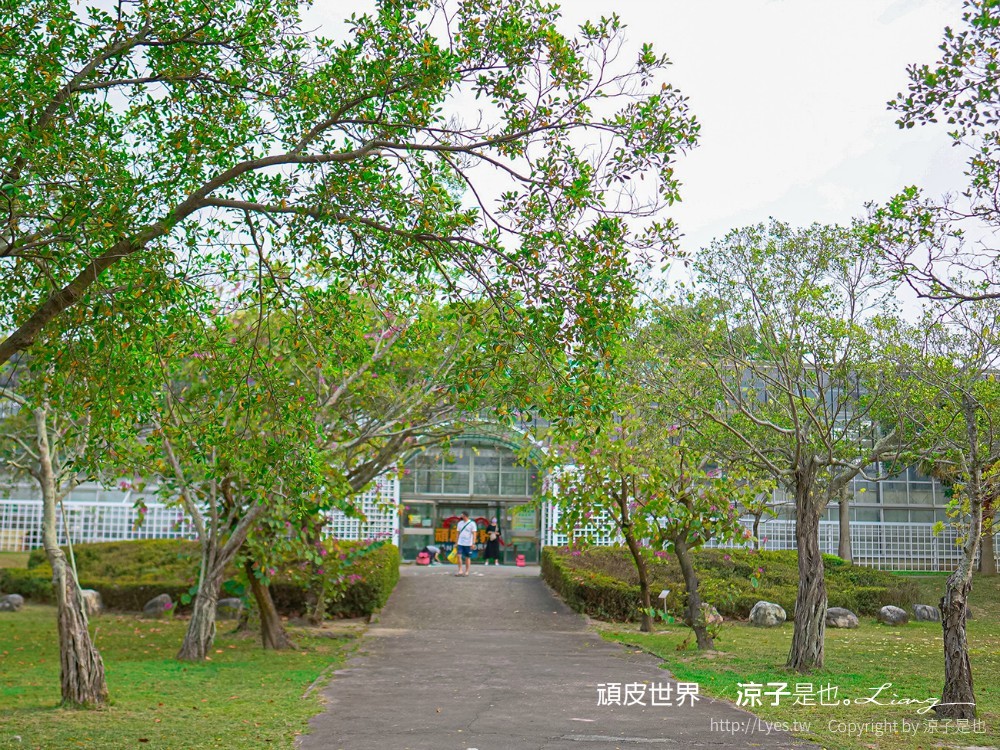 頑皮世界野生動物園攻略 門票優惠 台南親子景點 南台灣動物園 水豚君 長頸鹿 遊樂設施 戲水池