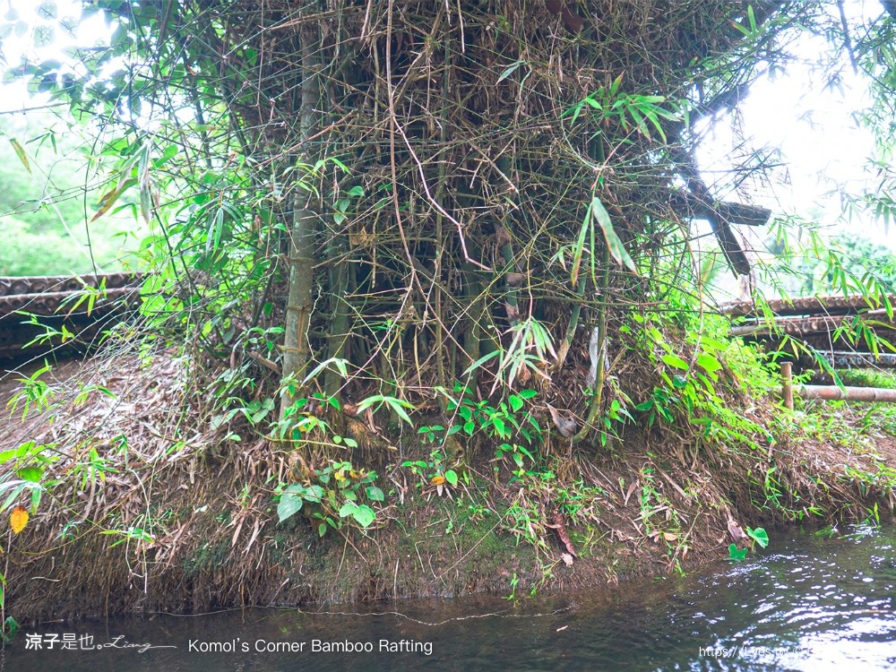 Komol’s Corner Bamboo Rafting Khao Lak 竹筏漂流 普吉島景點 泰國親子景點 攀牙景點 泰國景點推薦 泰國雨林生態體驗