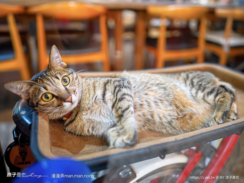 漫漫弄 菜單 台南南區美食 台南咖啡館 老宅餐廳 早午餐 義大利麵 漢堡 下午茶