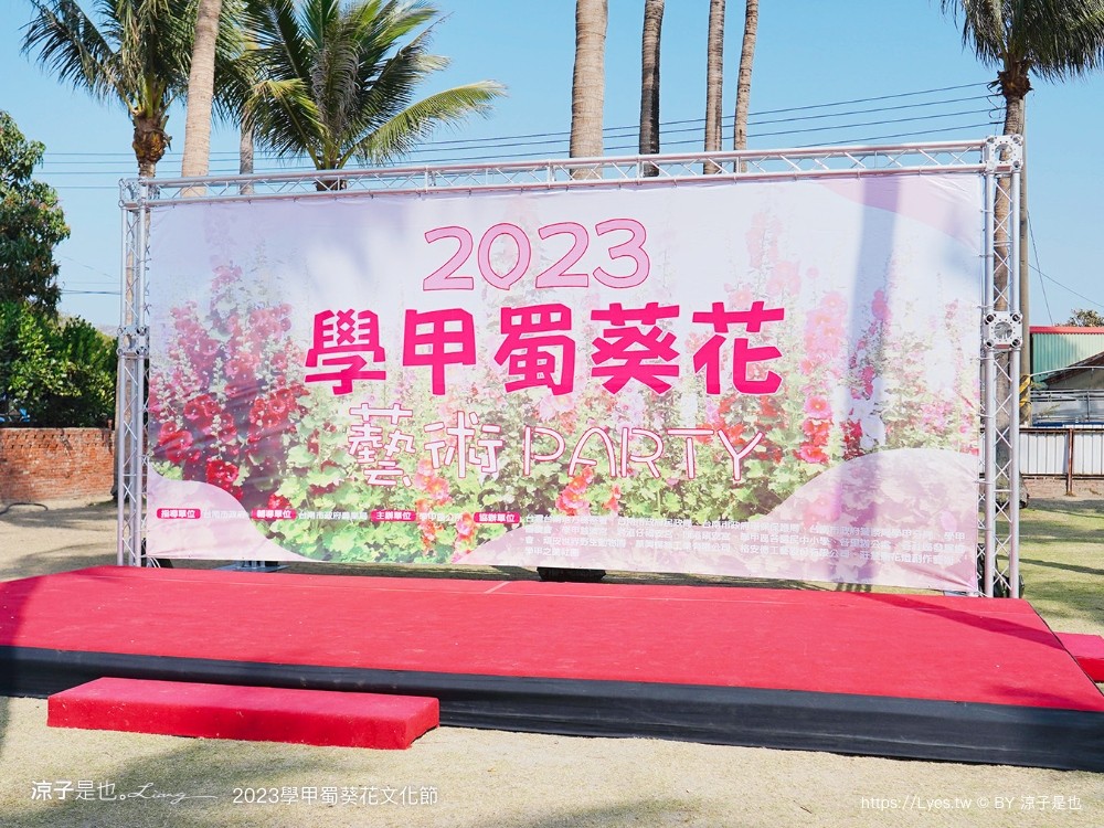 學甲蜀葵花文化節 2023 蜀葵花季 一丈紅迷宮 紫色鼠尾草 季節 花況 交通 學甲景點