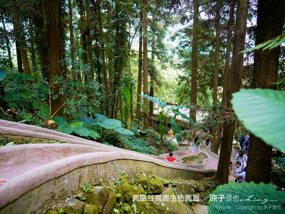 鳳凰谷鳥園生態園區 南投 親子景點 森林溜滑梯 賞鳥 DIY 鹿谷 步道 吊橋 瀑布