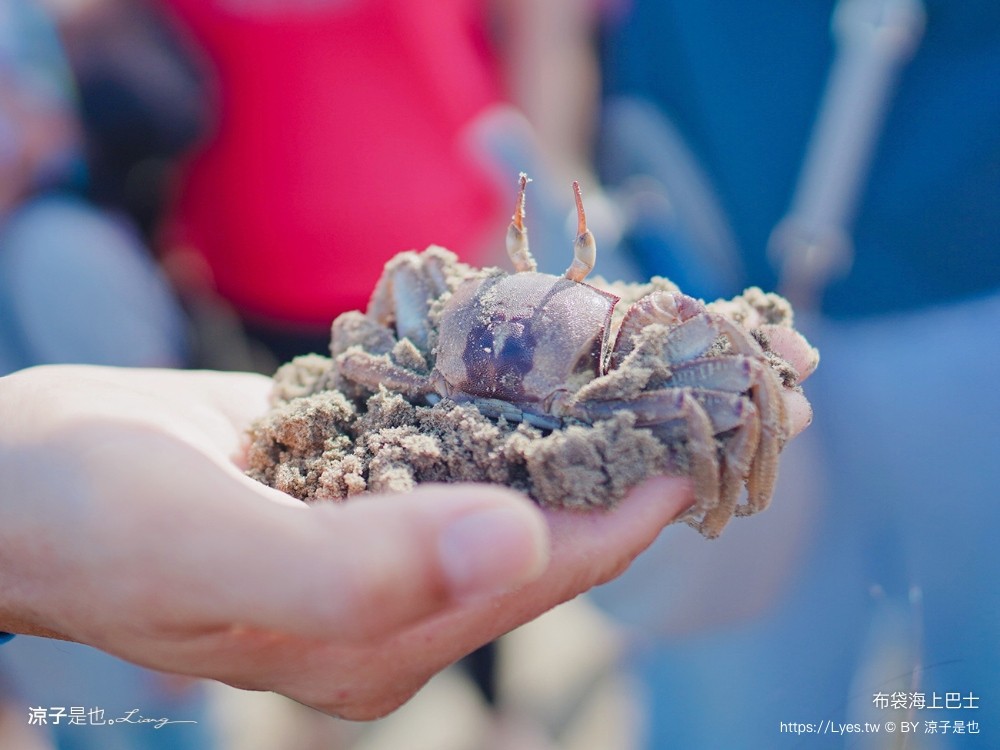 布袋海上巴士 嘉義親子景點 門票價格 蛋糕沙灘 網美拍照打卡 生態導覽
