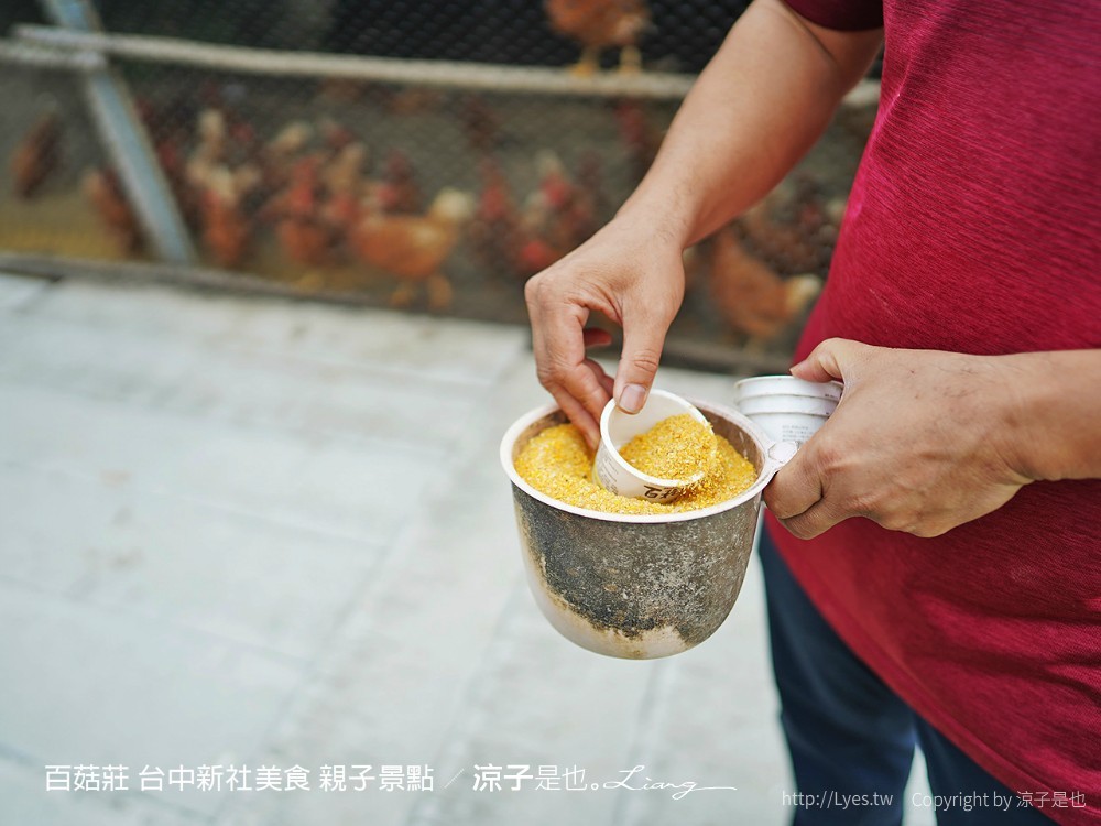 百菇莊 台中新社美食 親子景點