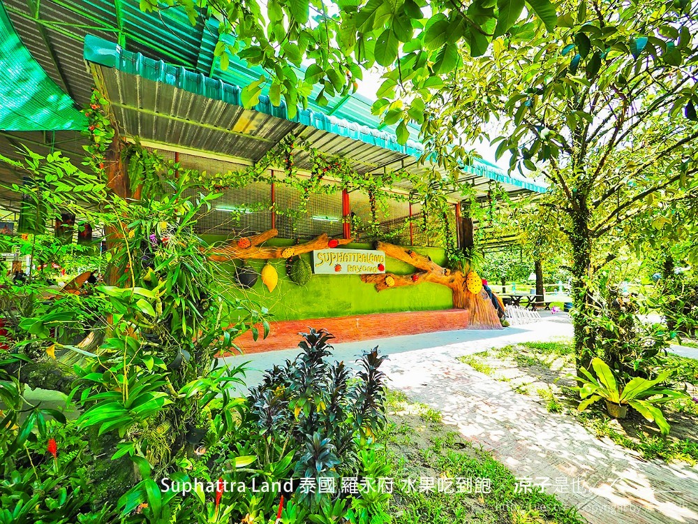 suphattra land 泰國 羅勇府 水果吃到飽