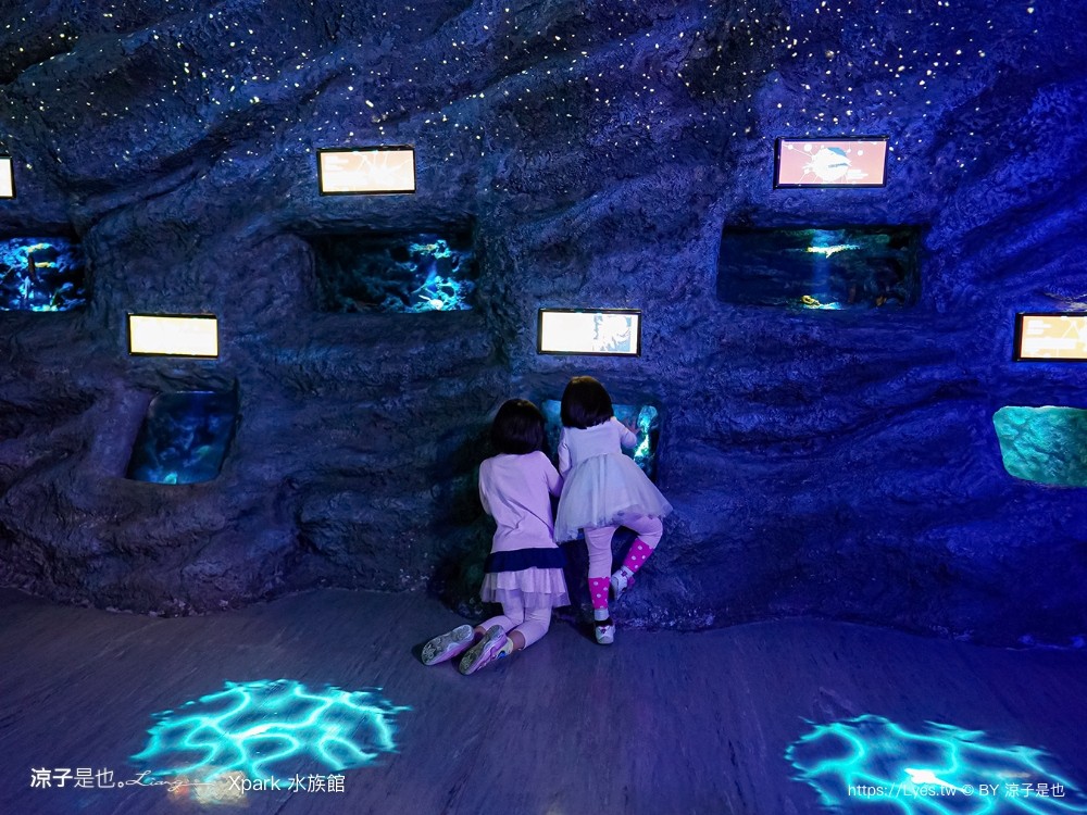 xpark水族館 門票優惠 桃園 親子景點 最新攻略 必看展區 美食餐廳 交通 停車 住宿