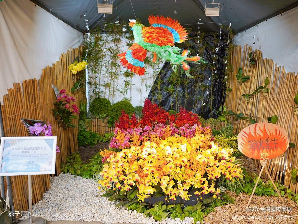 台灣國際蘭展 門票 2023時間 台南景點 魔境 恐龍 親子diy 必看亮點 台南限定蘭花