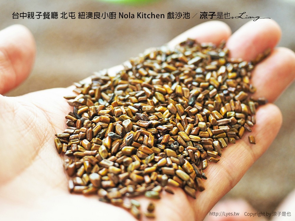 台中親子餐廳 北屯 紐澳良小廚 Nola Kitchen 戲沙池