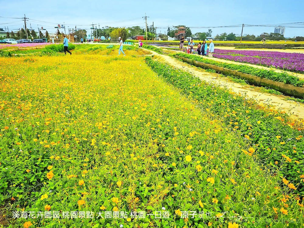 溪海休閒農業區 溪海花卉園區 桃園景點 大園景點 桃園一日遊