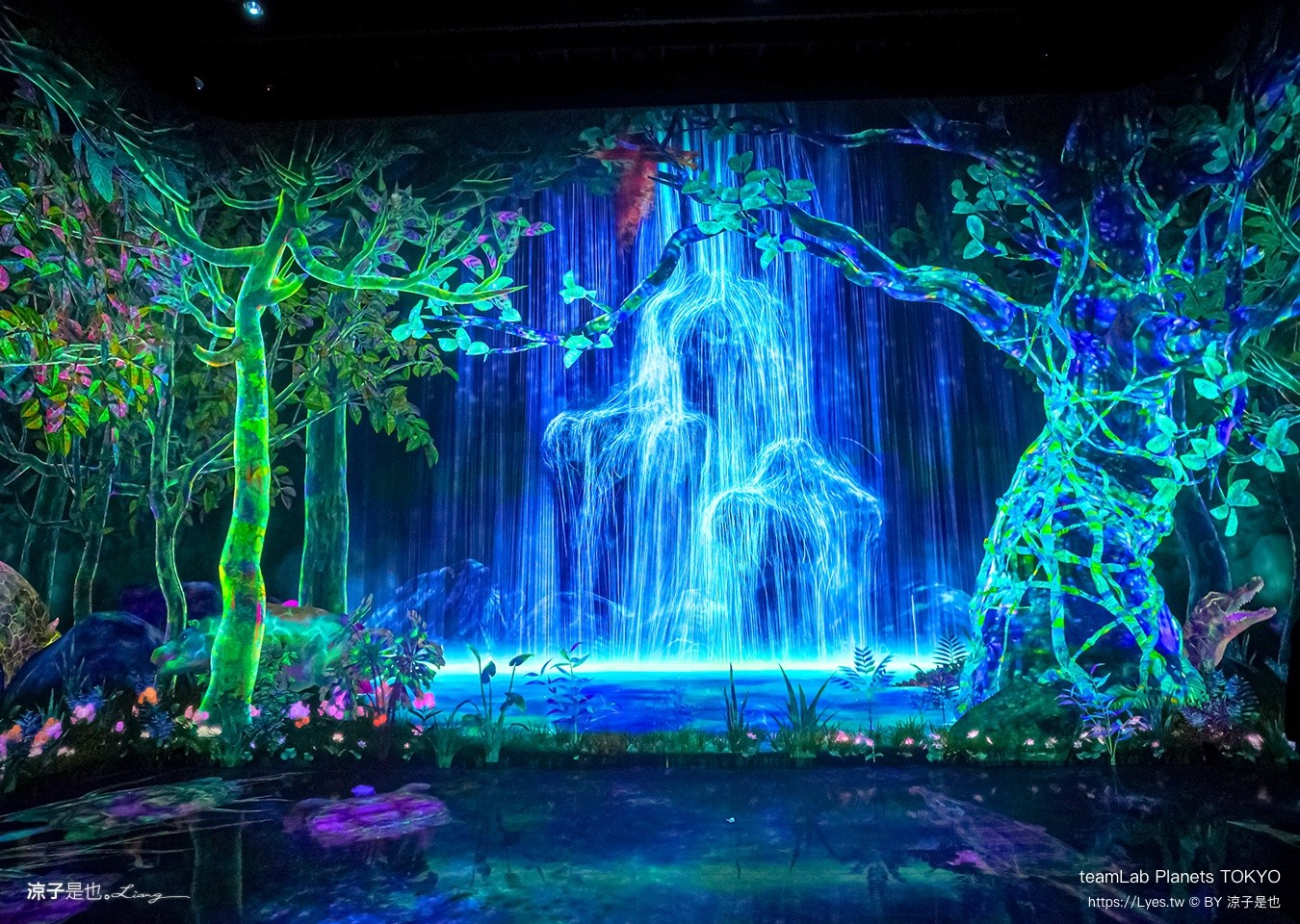 teamLab Planets TOKYO 東京teamLab 豐洲teamLab 東京景點 日本自由行