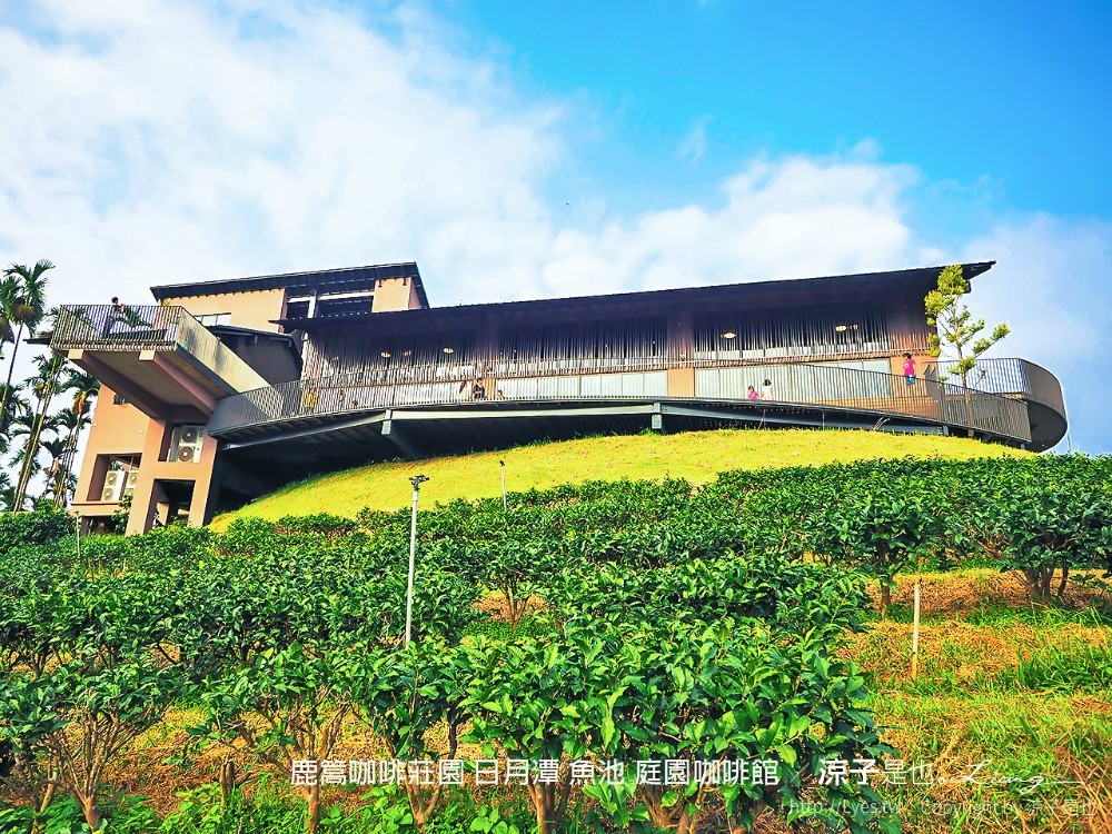 鹿篙咖啡莊園 日月潭 魚池 庭園咖啡館