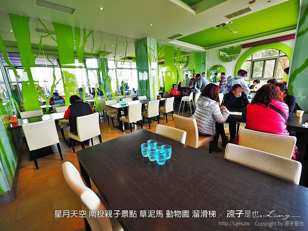 星月天空 南投親子景點 草泥馬 動物園 溜滑梯