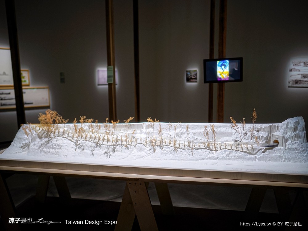 2024 台灣設計展 台南 時間地點 展區 交通 南美二館 西市場 國華友愛商圈 海安路街道美術館 愛國婦人會館