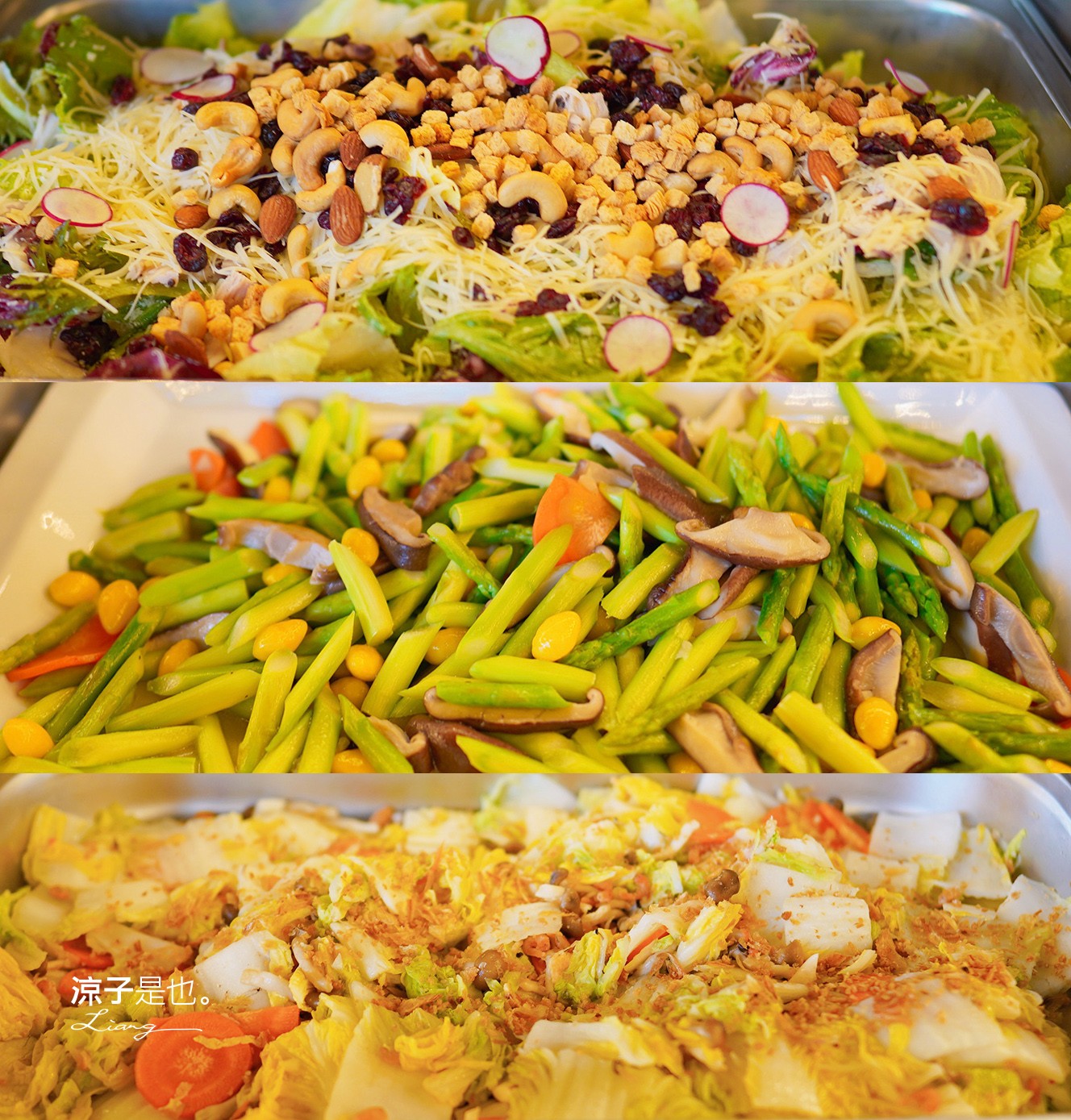 斑比跳跳 苗栗住宿 三灣棕櫚灣 頂級豪華 苗栗親子景點 露營車房型 價位優惠 評價