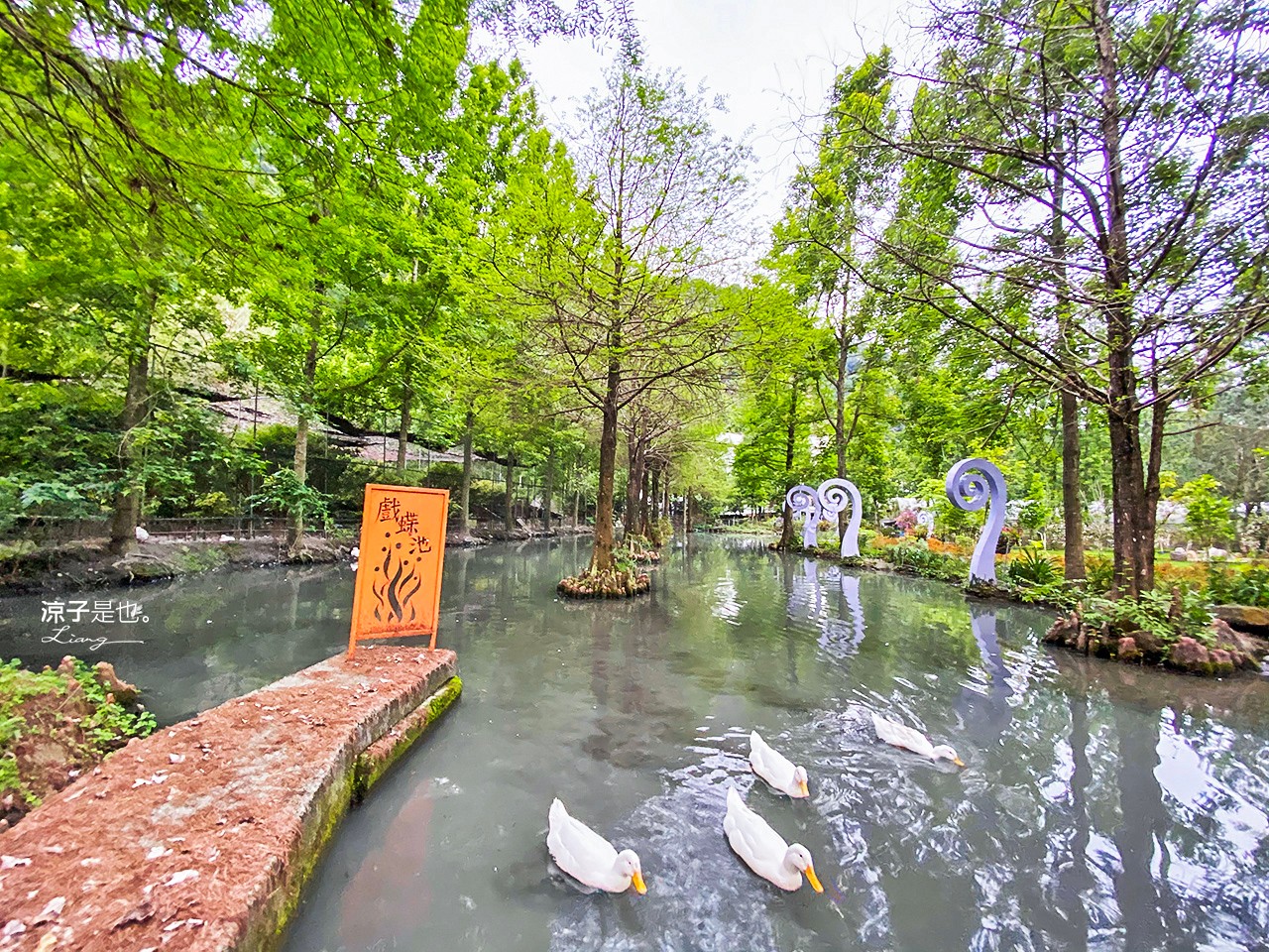 埔里-台一生態休閒農場(楓樺台一渡假村) 戲水區x花朵溜滑梯沙坑 親子景點好好玩 還有小木屋住宿喔！