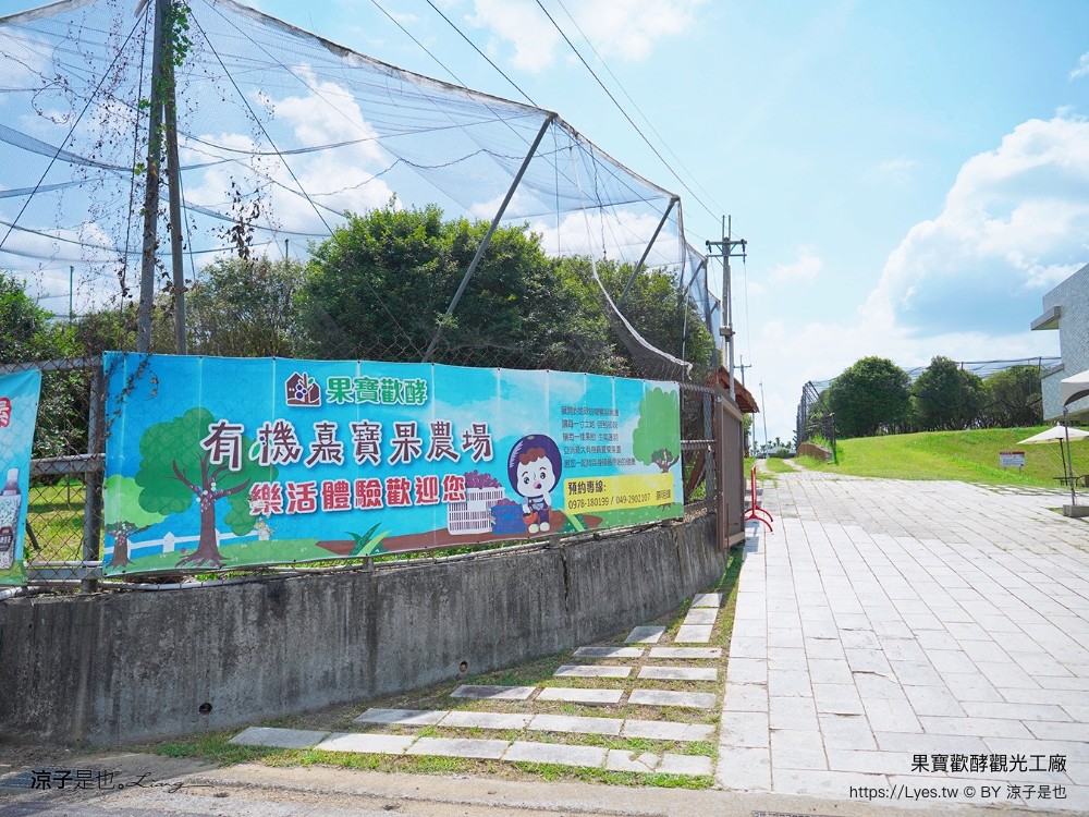 果寶歡酵觀光工廠 有機嘉寶果農場 門票 樹葡萄 南投埔里 親子景點 diy體驗 桃米休閒農業區