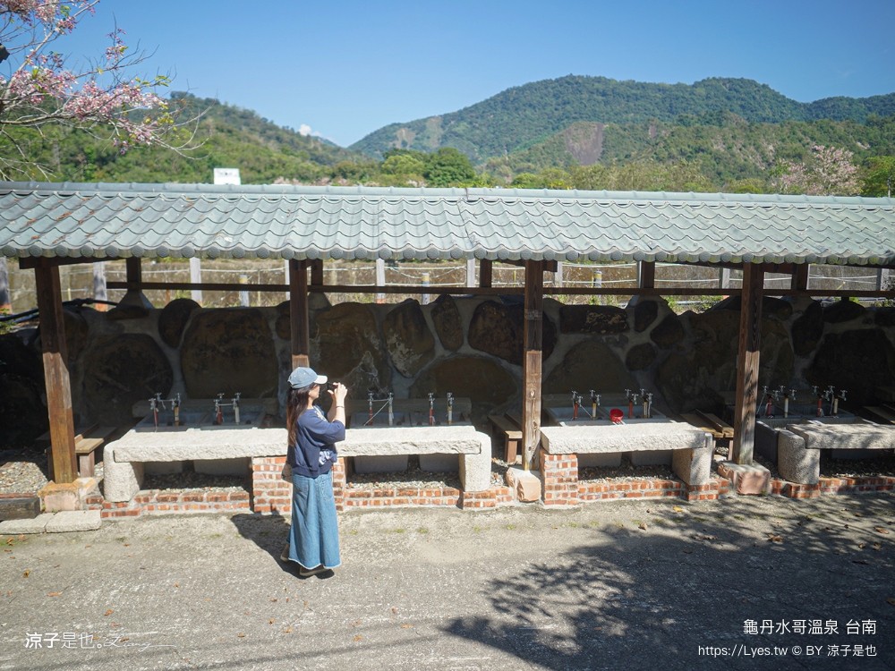 龜丹水哥溫泉區 台南景點 spa 露天溫泉池 花旗木秘境 水哥休閒農事體驗