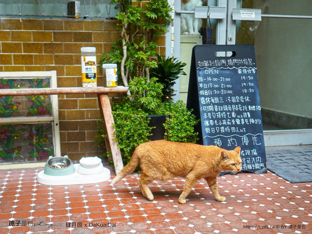 肆月捌xdakuaidai 菜單 台中大里美食 貓咪咖啡 台中特色咖啡廳 甜點 義大利麵 隱藏版餐廳