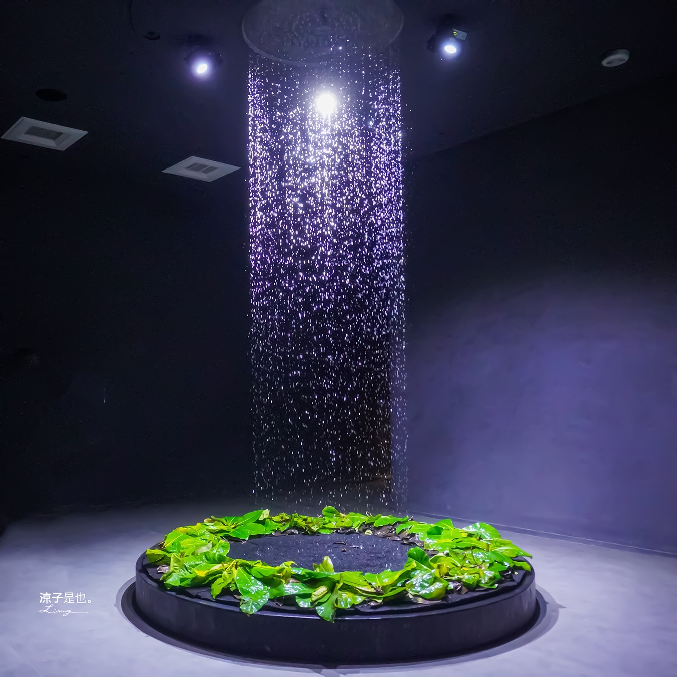 台中海洋館 門票優惠 交通 八大展區 免費票 台中親子景點 台中景點推薦 懶人包 攻略 必看特色