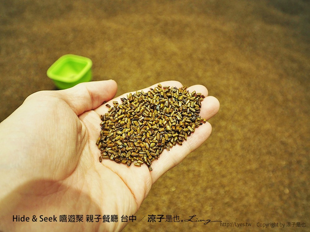 Hide & Seek 嘻遊聚 親子餐廳 台中