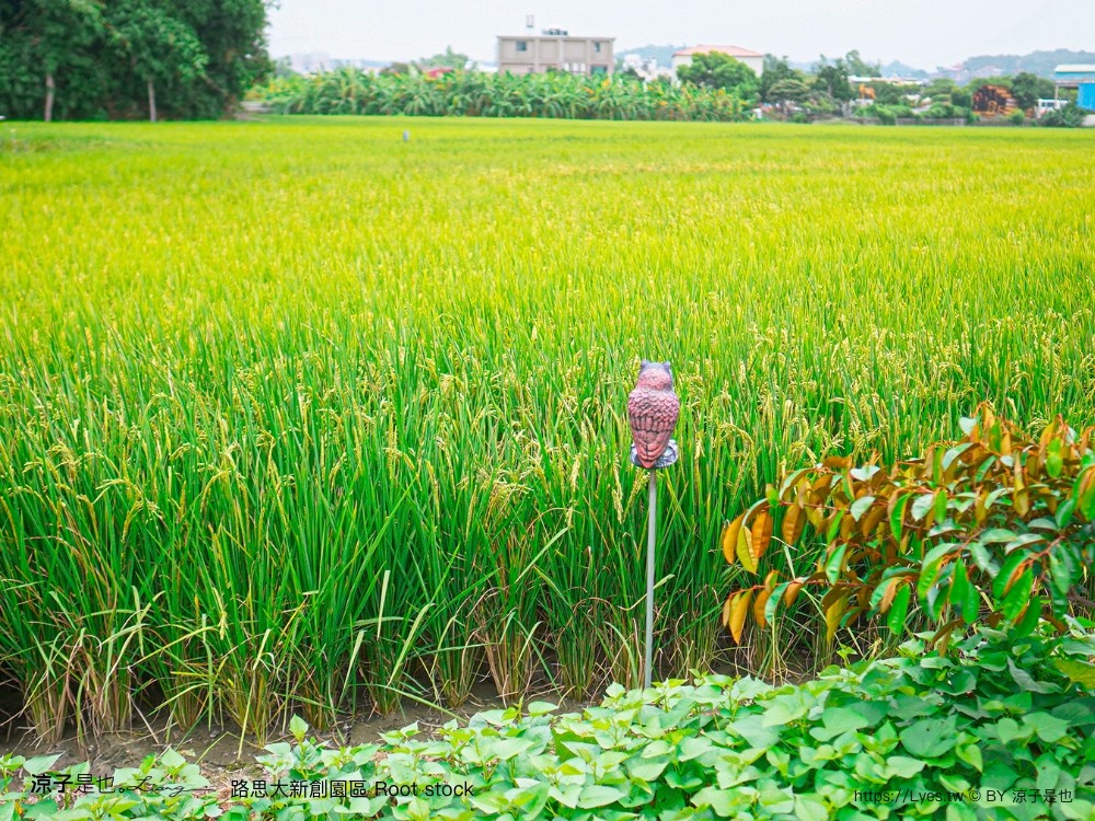 路思大新創園區 皮革手作diy 菜單 彰化景點 彰化美食 義式餐酒館 下午茶 複合式餐廳