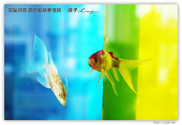 宜蘭民宿-調色盤築夢會館(早餐、下午茶、環境篇)-美食美景相伴的宜蘭民宿