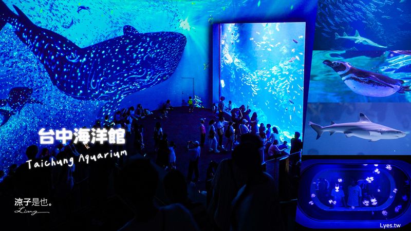 【台中海洋館】八大展區必看亮點、票價優惠、交通~台中最新親子景點資訊一次看