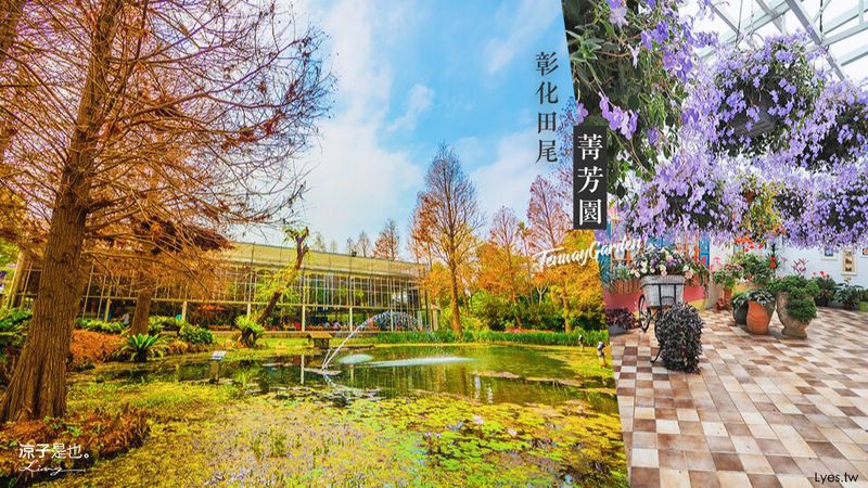 【彰化田尾】菁芳園 景觀餐廳 湖畔玻璃屋、夢幻落羽松好好拍呀