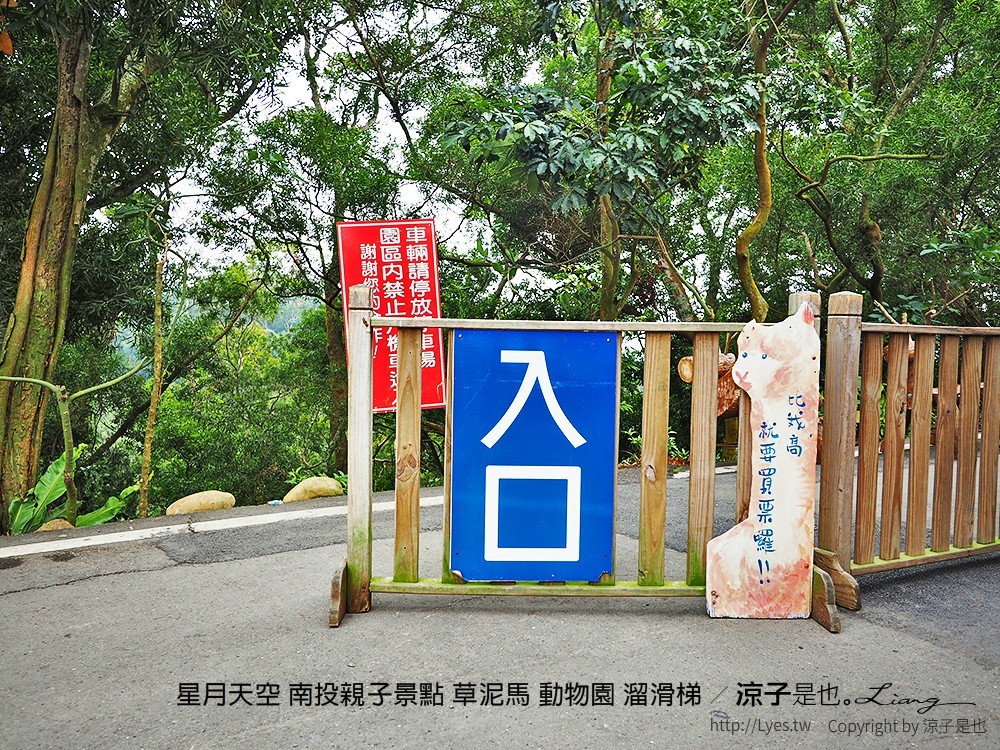 星月天空 南投親子景點 草泥馬 動物園 溜滑梯