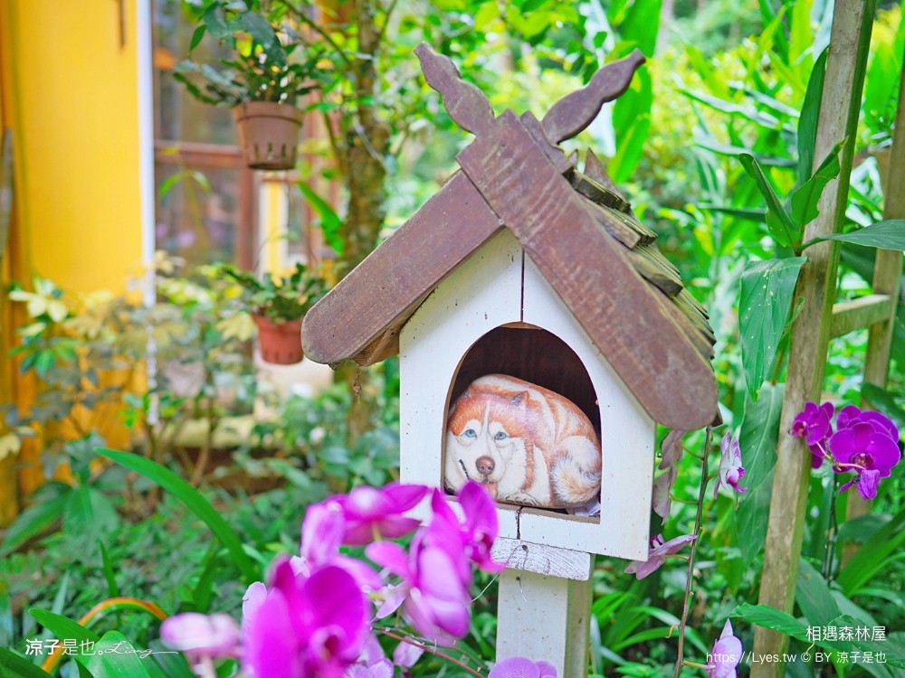 相遇森林屋 菜單 苗栗南庄景點 苗栗景觀餐廳 苗栗景點 森林系 南庄咖啡館 童話屋秘境 苗栗景點 森林系 南庄咖啡館 童話屋秘境