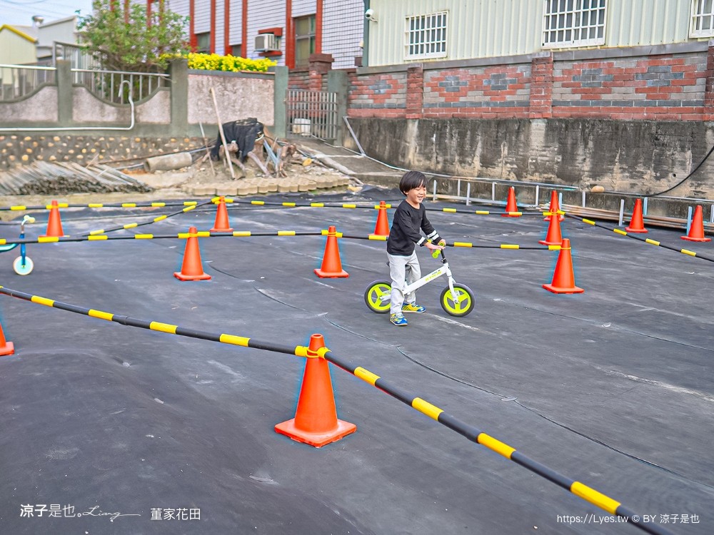 董家花田 菜單 門票 景點 彰化景點 田尾景觀餐廳 花海 戶外野餐 咖啡 交通