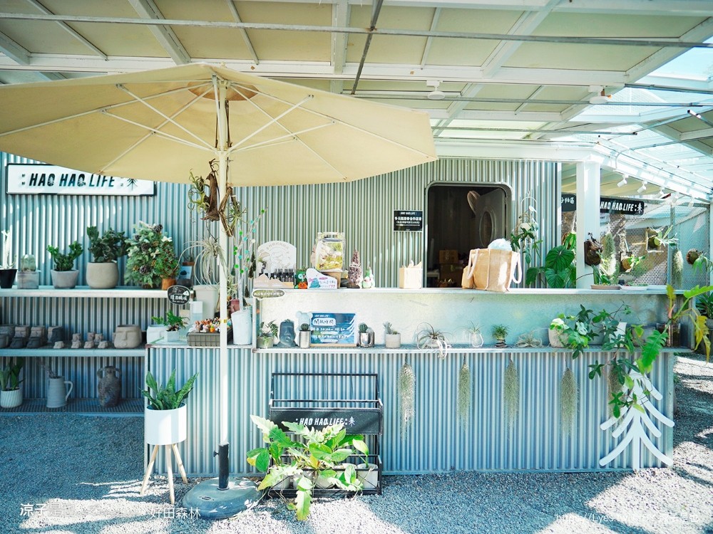 好田森林 菜單 門票 彰化田尾 親子餐廳 親子樂園 恐龍森林 滑草 野餐 玩沙 卡丁車 彰化景點 空中卡丁車