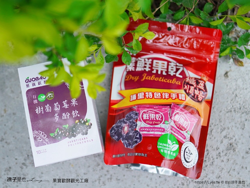 果寶歡酵觀光工廠 有機嘉寶果農場 門票 樹葡萄 南投埔里 親子景點 diy體驗 桃米休閒農業區