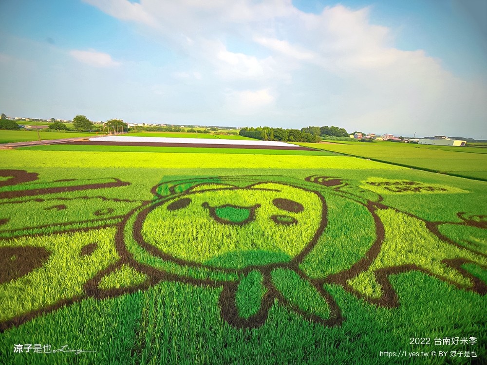 2022台南好米季 台南後壁景點 稻田彩繪 貓貓蟲咖波 稻陣走健走活動 網美打卡 親子景點