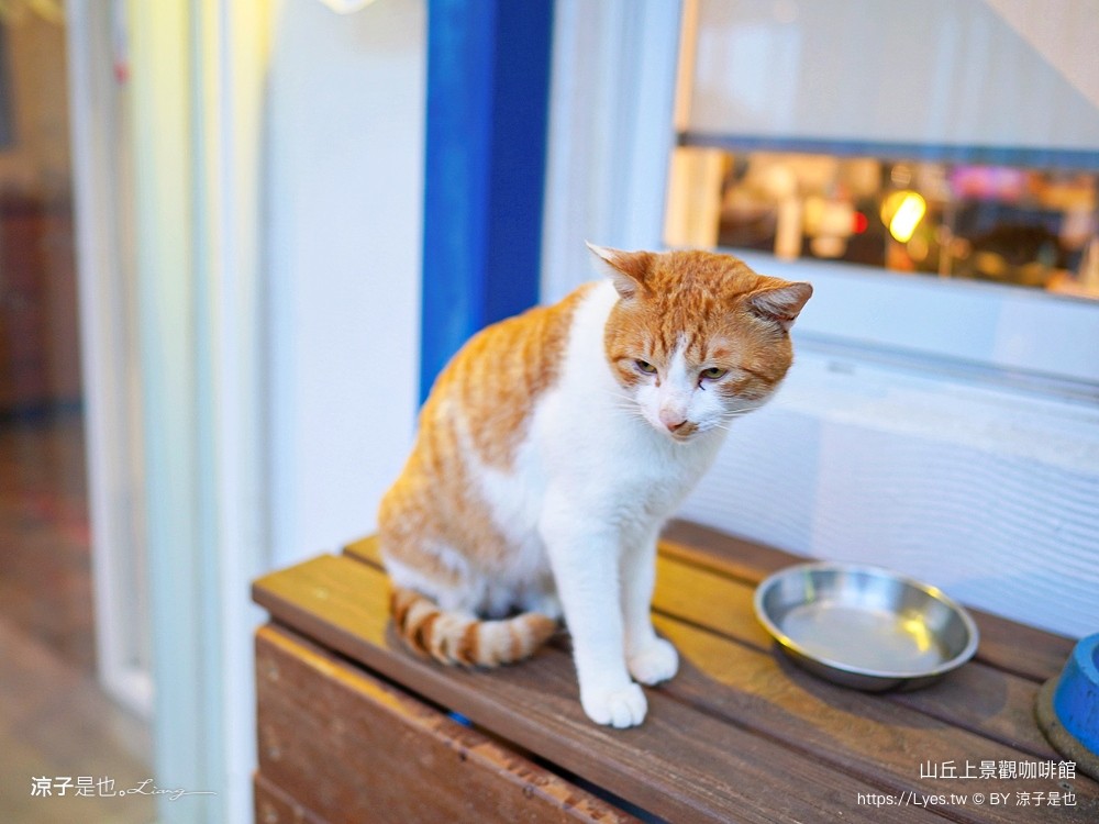 山丘上景觀咖啡館 菜單 新竹湖口 景觀餐廳 地中海風情 新竹夜景餐廳 希臘風 下午茶約會咖啡