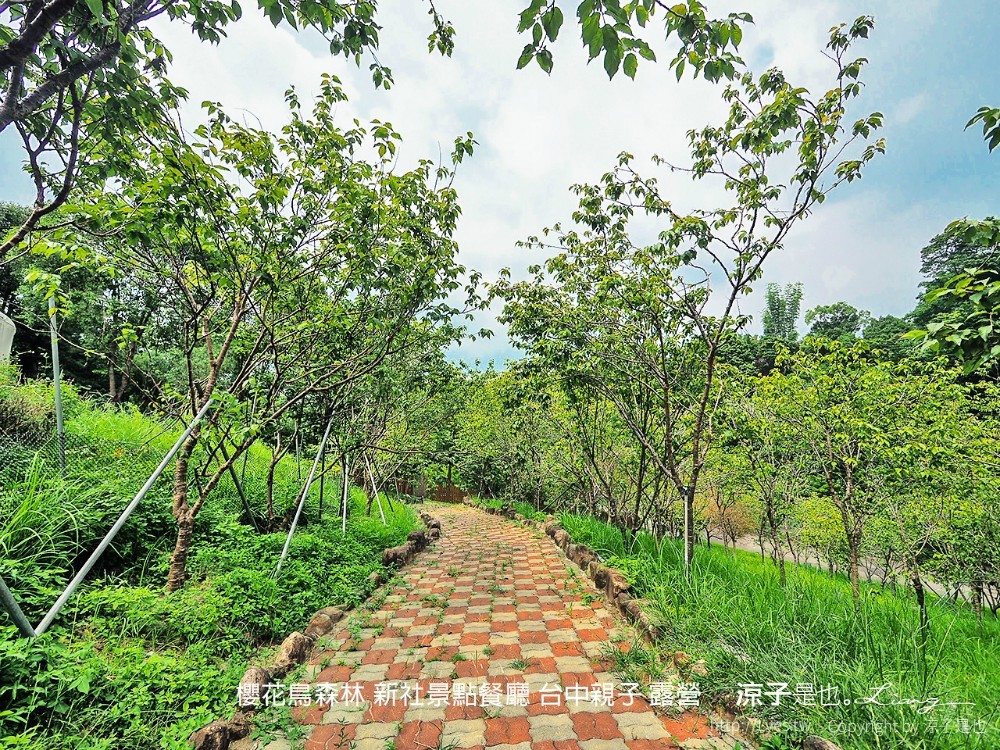 新社景點-櫻花鳥森林 迷你小火車x溜滑梯戲水區x鸚鵡放飛秀x露營 不止花好拍 親子旅遊也好玩！