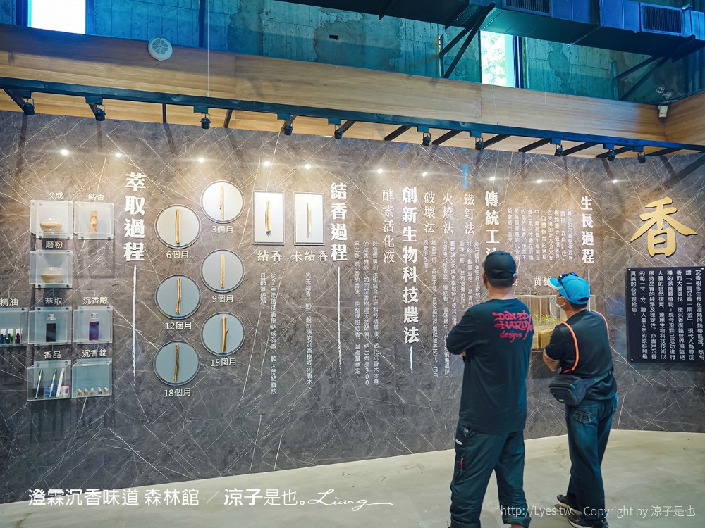 澄霖沉香味道森林館 雲林景點 愛心落羽松 湖畔步道 水之教堂 台版兼六園