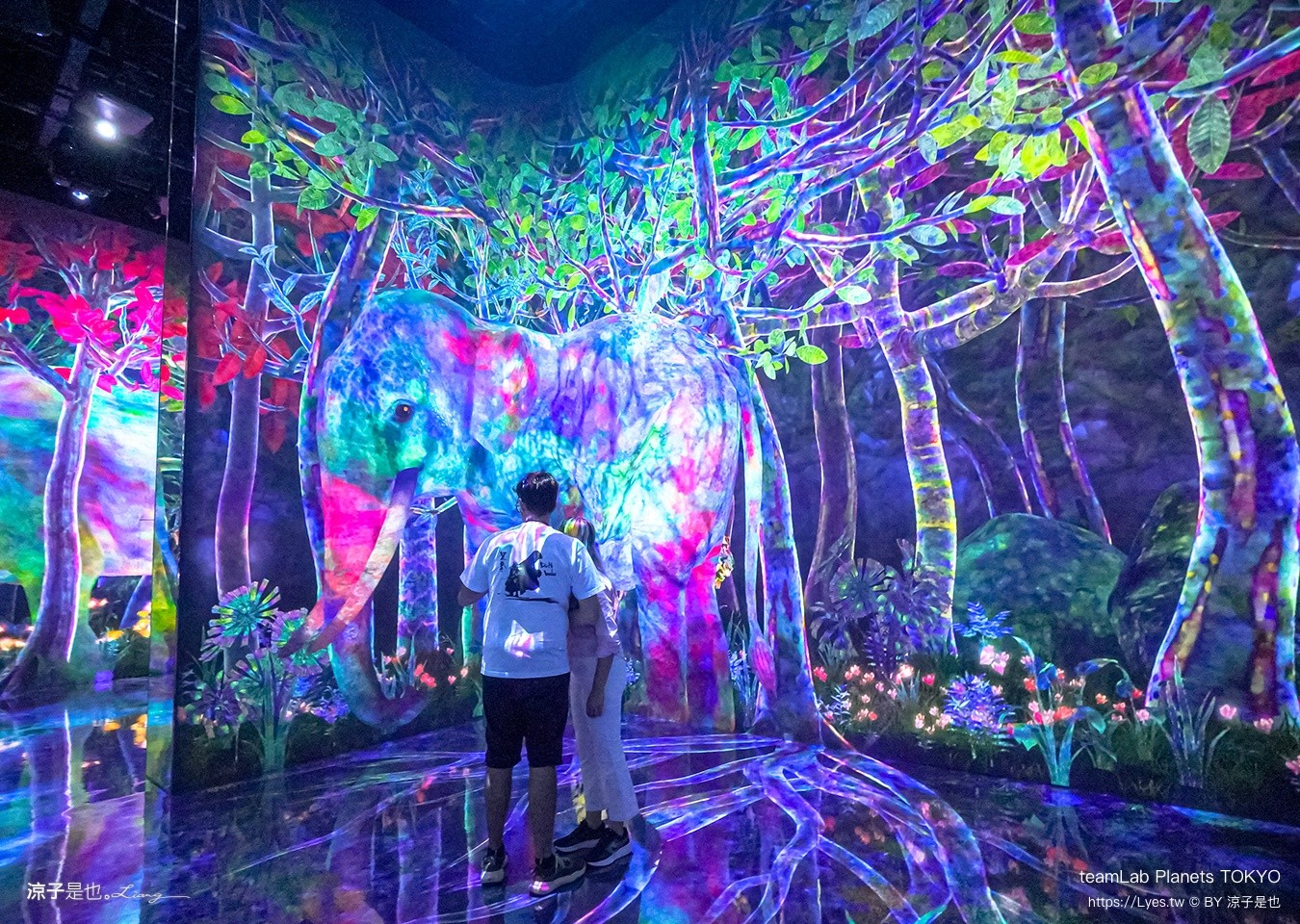 teamLab Planets TOKYO 東京teamLab 豐洲teamLab 東京景點 日本自由行