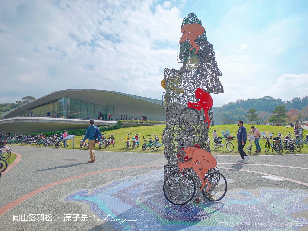 向山落羽松 日月潭自行車道 湖畔 落羽松步道 日月潭景點推薦 IG打卡 南投親子