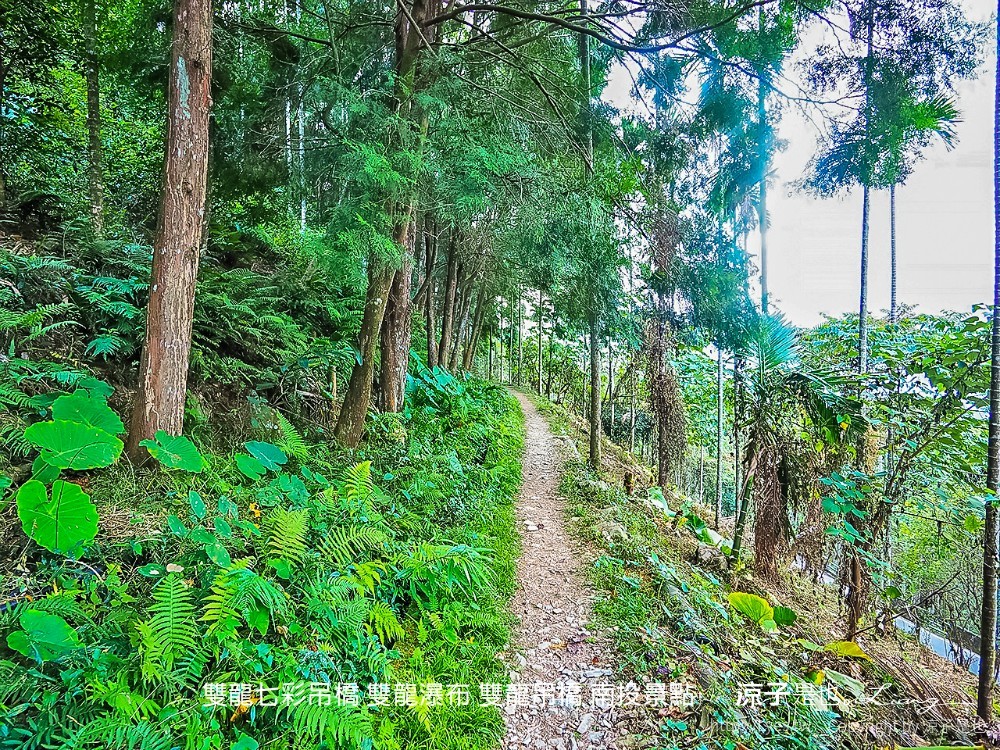 雙龍七彩吊橋 雙龍瀑布 雙龍吊橋 南投景點