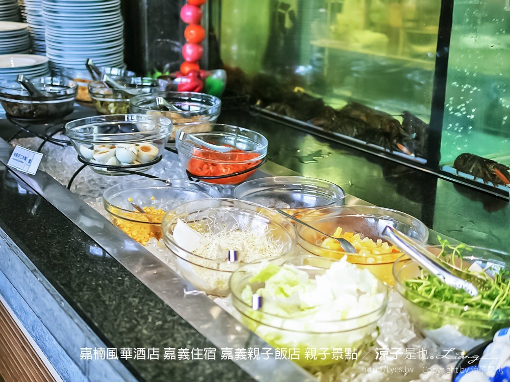 嘉楠風華酒店 嘉義住宿 嘉義親子飯店 親子景點