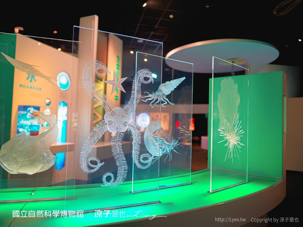 台中科博館 台中室內親子景點 國立自然科學博物館 線上購票 交通 美食 恐龍侏儸紀公園 iCoBo 手機app i科博