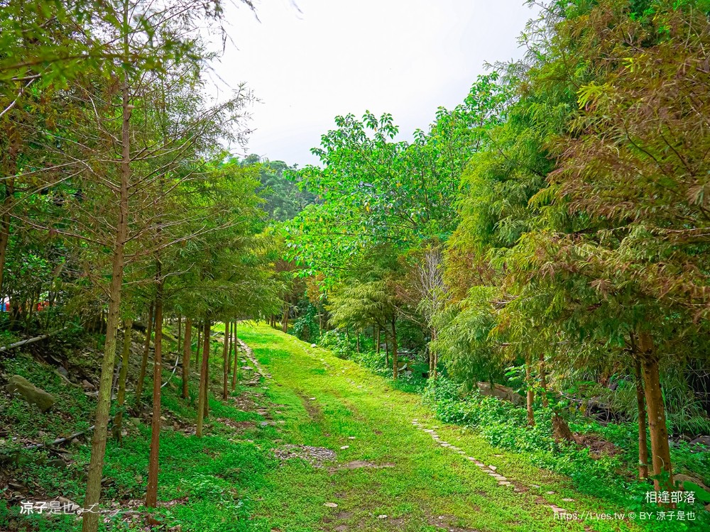 相逢部落 南投豪華露營 價位 懶人露營 一泊三食 調酒無限暢飲 和牛燒肉 龍蝦火鍋 訂房 評價