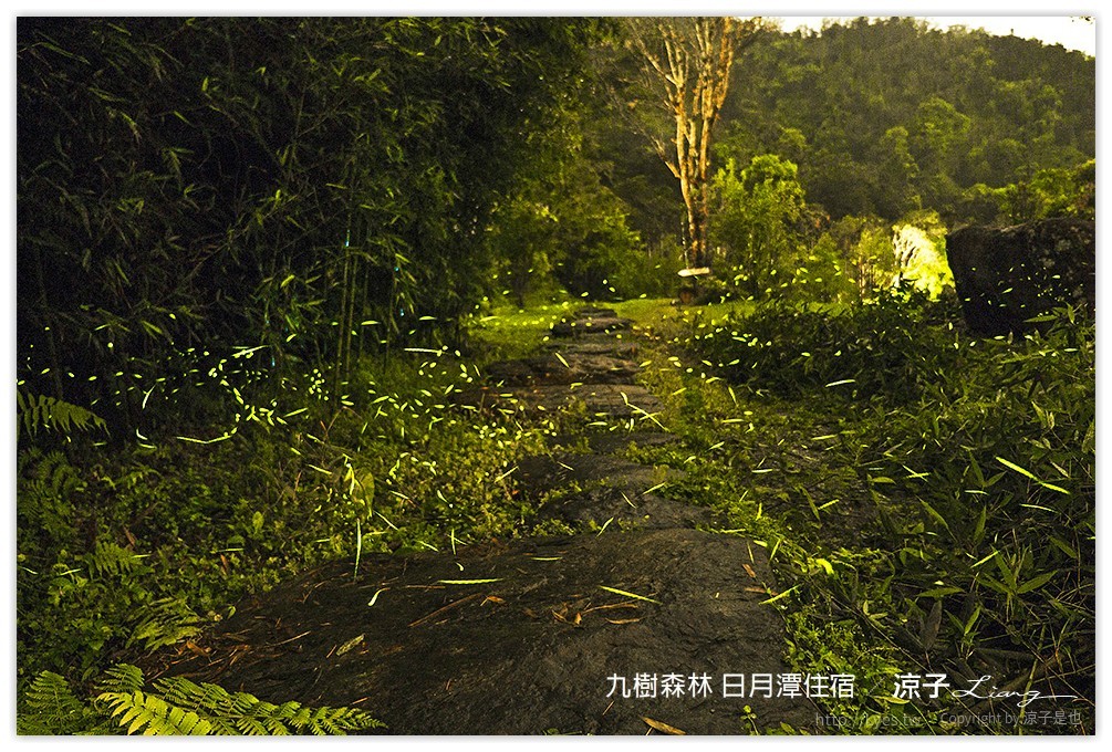 九樹森林 日月潭住宿 - 涼子是也 blog