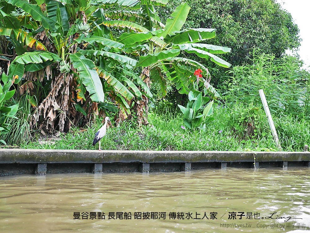 曼谷景點 長尾船 昭披耶河 傳統水上人家