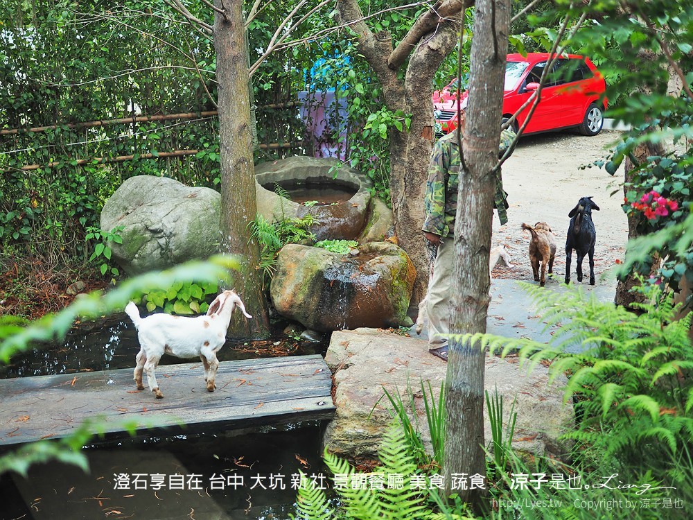 澄石享自在 台中 大坑 新社 景觀餐廳 美食 蔬食