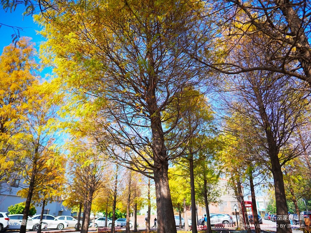 巫家捏麵館 彰化免費親子景點 小火車 泡腳 溪湖 落羽松景點 免門票 黏土 DIY