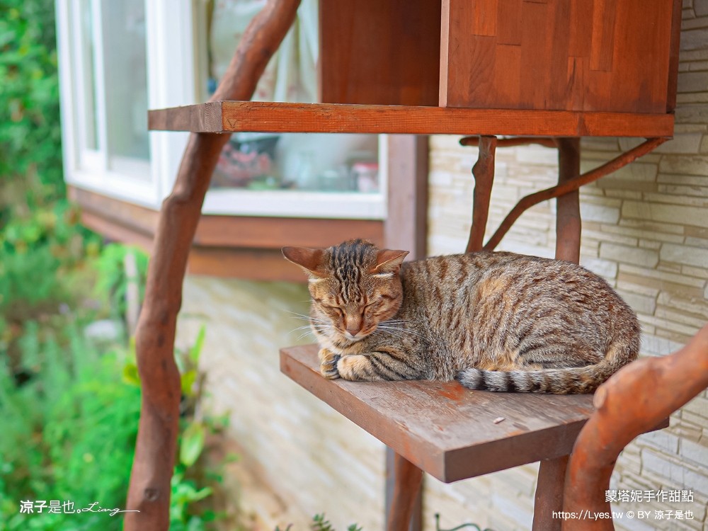 蒙塔妮手作甜點 菜單 清境美食 清境下午茶甜點 南投美食 南投下午茶 南投甜點 南投蛋糕 南投推薦餐廳