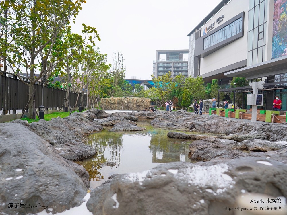 xpark水族館 門票優惠 桃園 親子景點 最新攻略 必看展區 美食餐廳 交通 停車 住宿