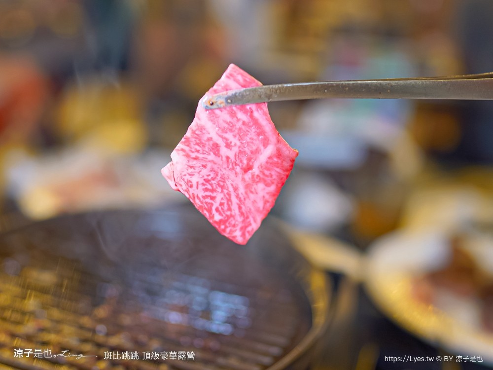 斑比跳跳 苗栗住宿 三灣棕櫚灣 頂級豪華 苗栗親子景點 露營車房型 價位優惠 評價